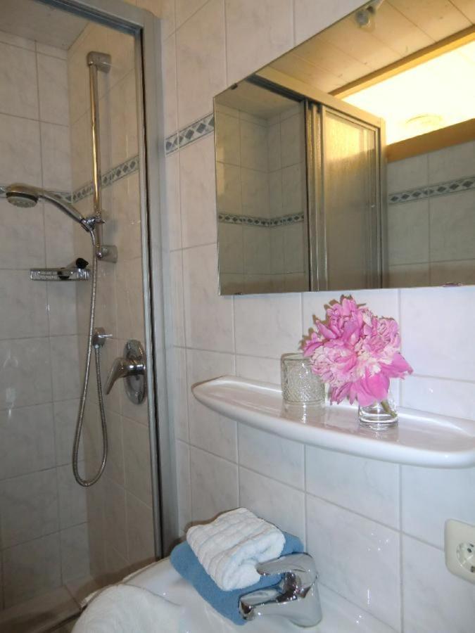 Ferienpension Fremuth Ruhmannsfelden Extérieur photo